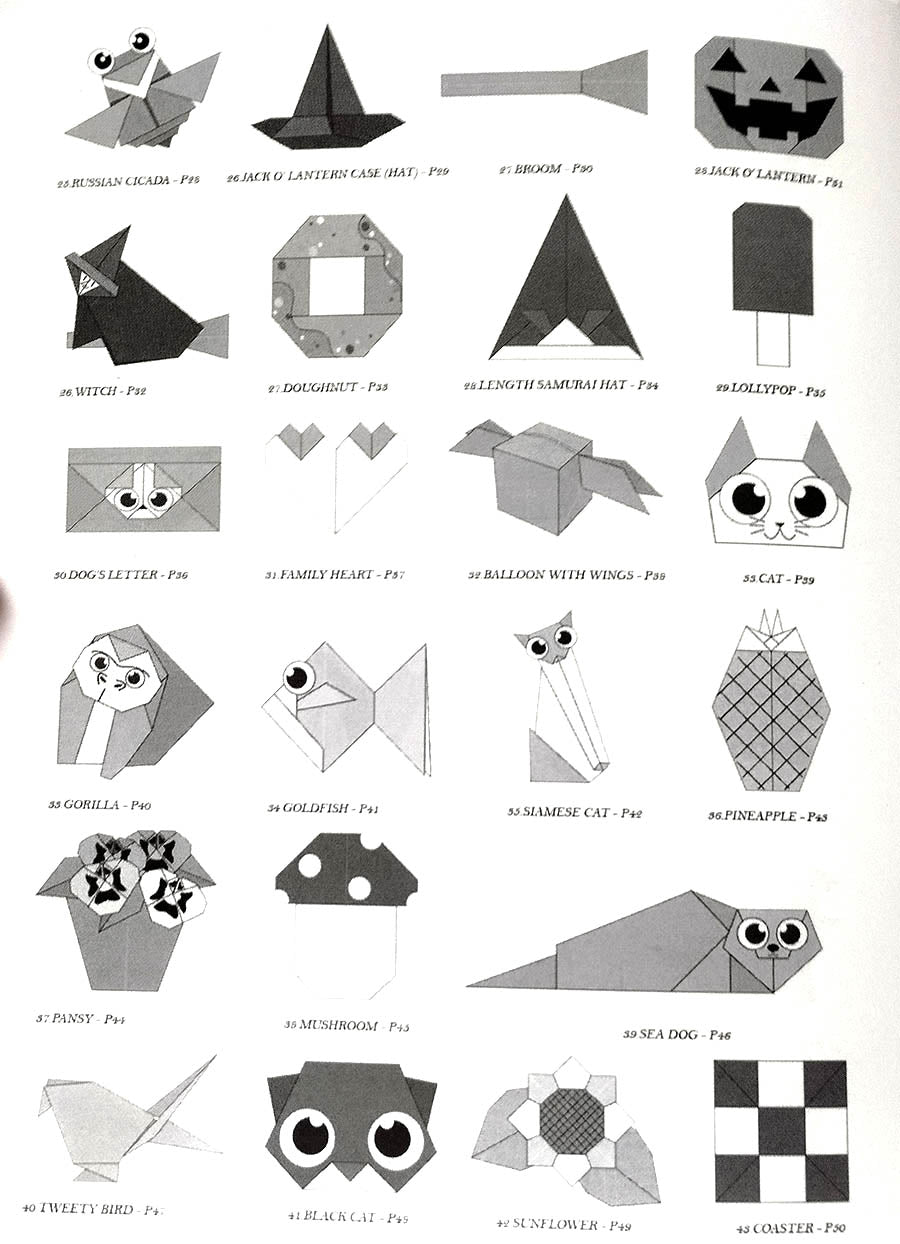 2 Origami beginners books