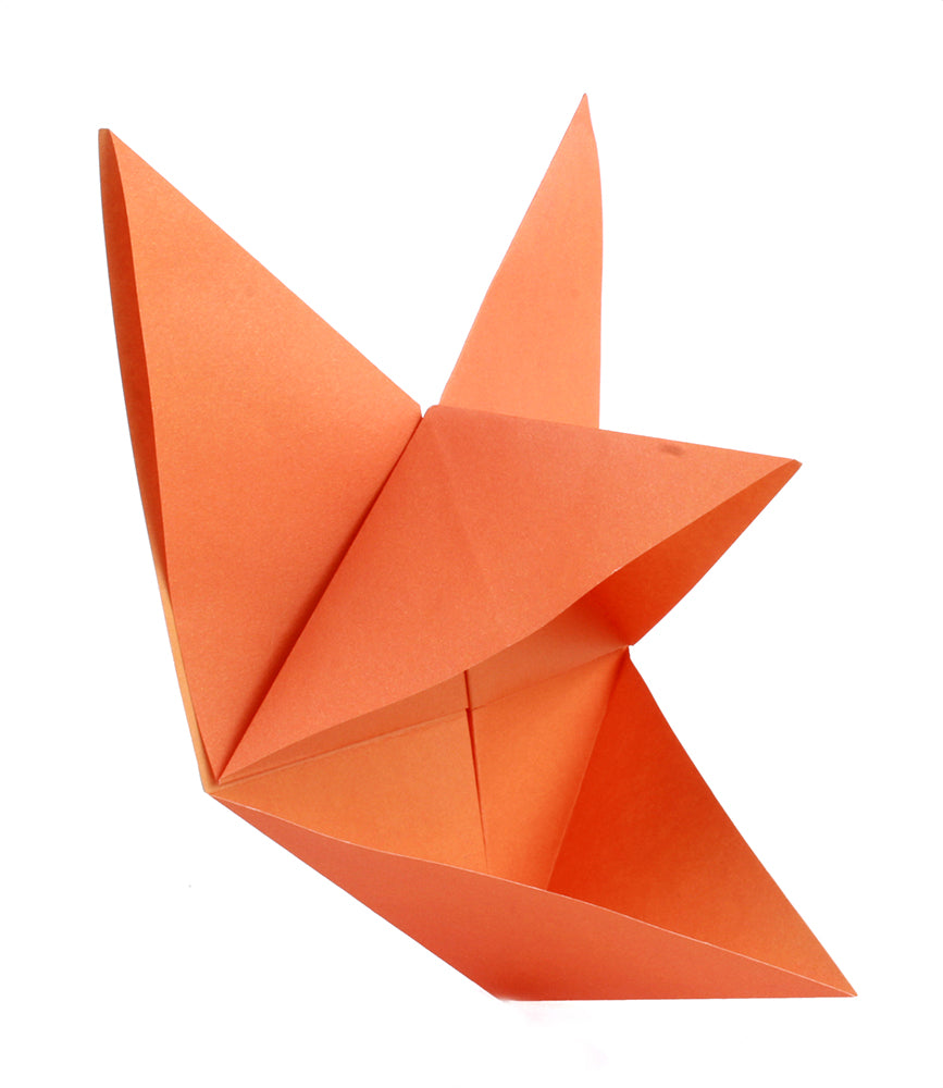 Origami In Motion | print or eBook