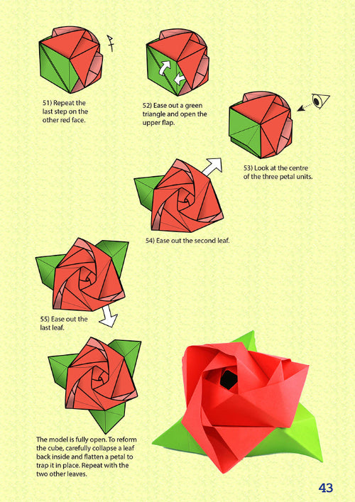 Origami In Motion