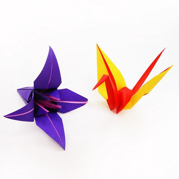 Double Sided Origami Paper | 30 sheets | 17.5x17.5cm