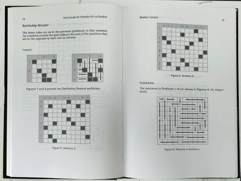 Mathematical Wizardry for a Gardner - hardback 2009