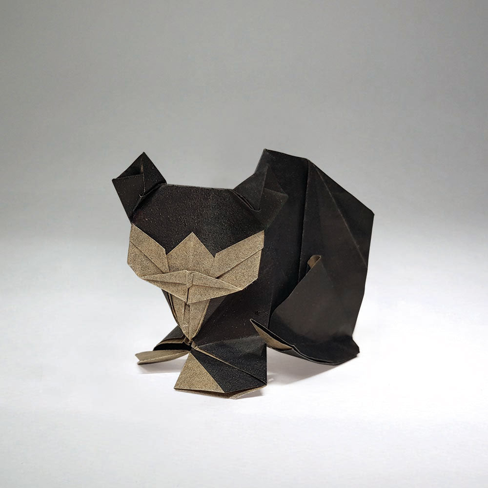 Middle Ground Origami (eBook)