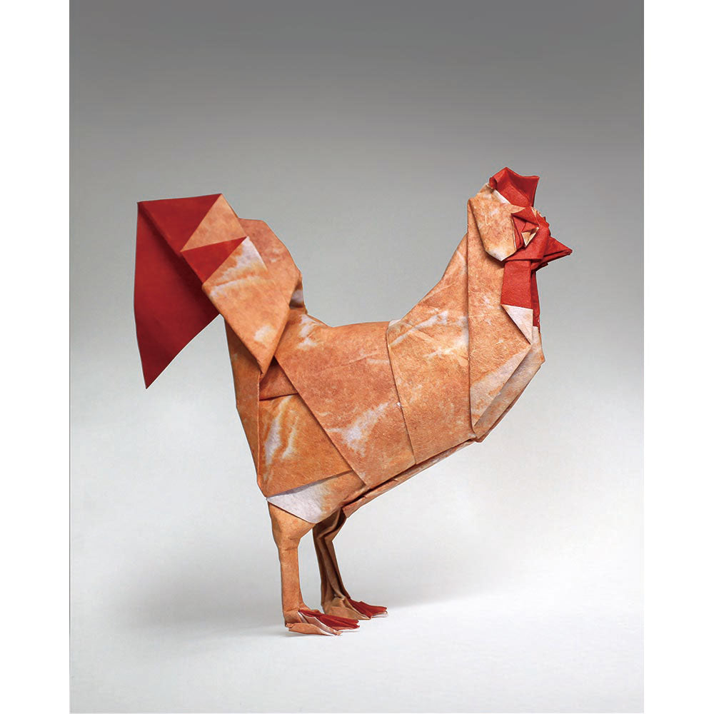 Middle Ground Origami (eBook)