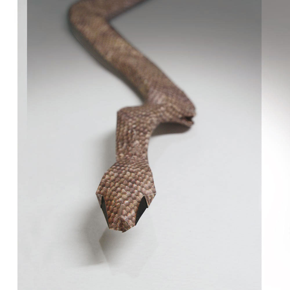 Middle Ground Origami (eBook)