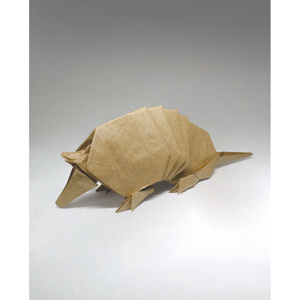 Middle Ground Origami (eBook)