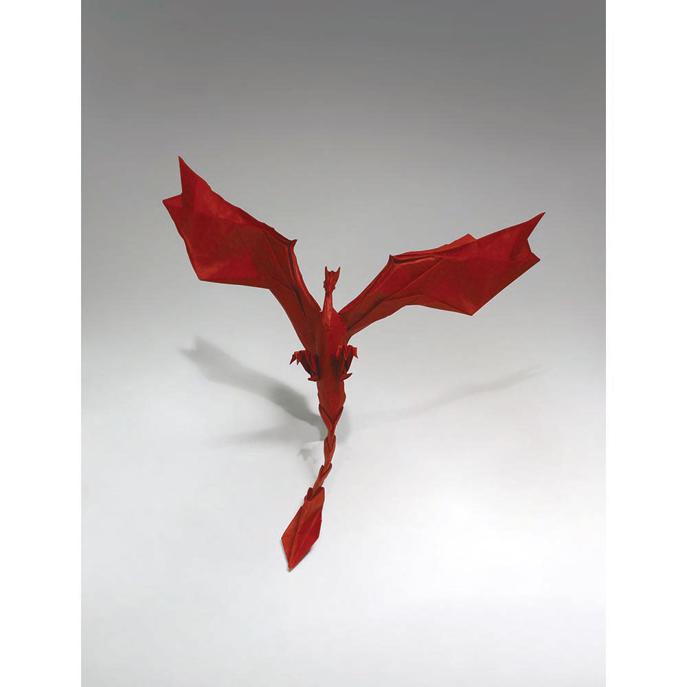 Middle Ground Origami (eBook)