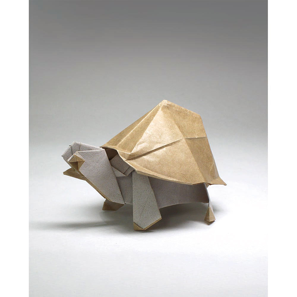 Middle Ground Origami (eBook)