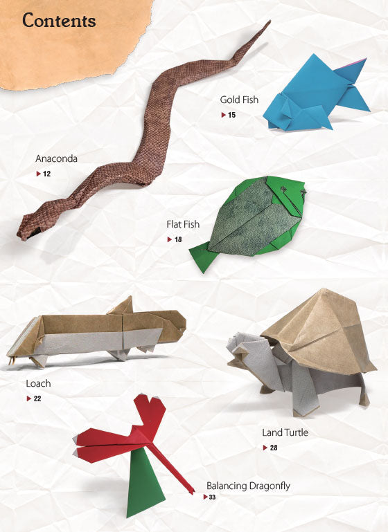 Middle Ground Origami (eBook)