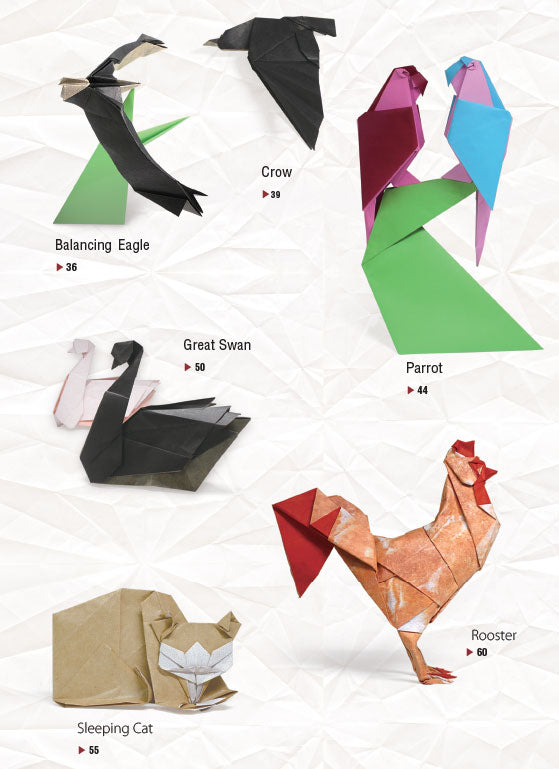 Middle Ground Origami (eBook)