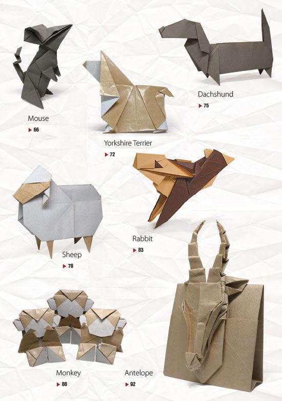 Middle Ground Origami (eBook)