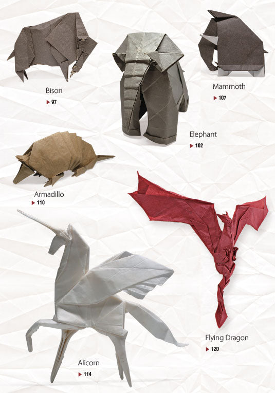 Middle Ground Origami (eBook)