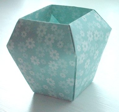 The New Origami by Steve & Megumi Biddle