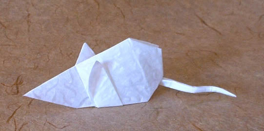 Origami: 30 Fold-by-Fold Projects by Paulo Mulatinho