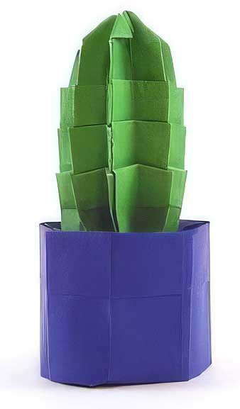 Origami: Paper Projects to Delight and Amaze by David Petty