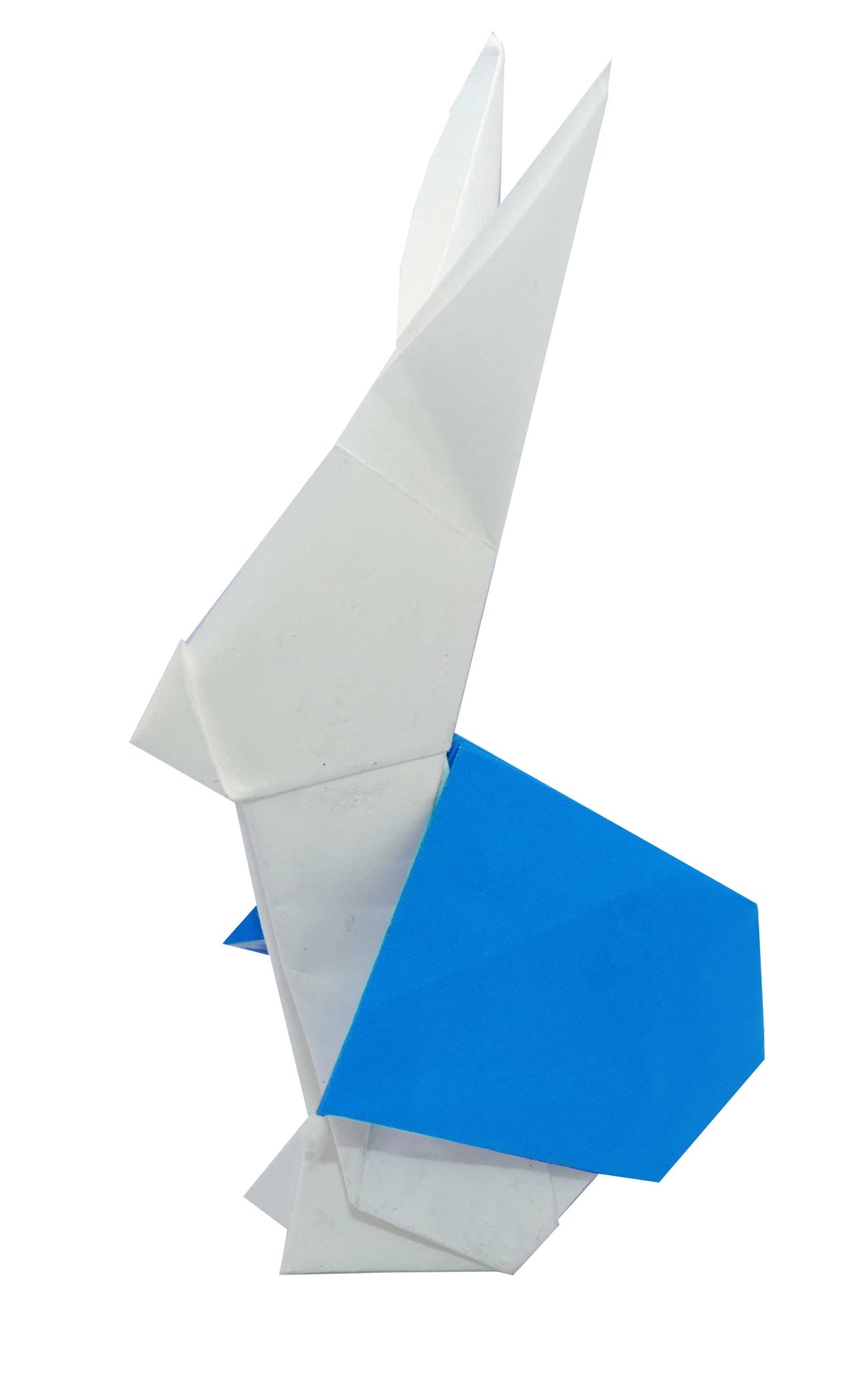 Origami In Wonderland | print or eBook