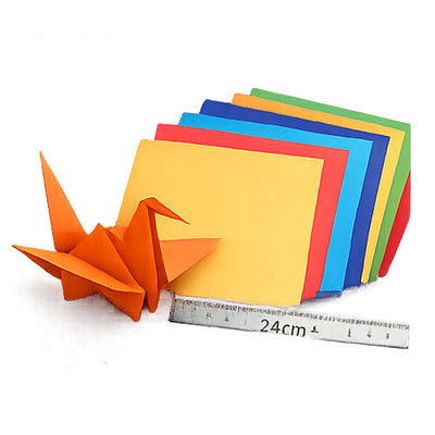 24cm+ (Large)