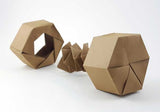 Brilliant Origami by David Brill | Advanced Origami Book