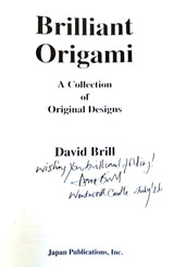 Brilliant Origami by David Brill | Advanced Origami Book