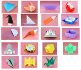 Learn Origami (DVD & Book)