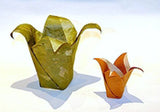 The Encyclopedia of Origami by Nick Robinson | Ultimate Origami Guide & Techniques