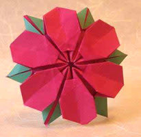 The Encyclopedia of Origami by Nick Robinson | Ultimate Origami Guide & Techniques