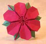 The Encyclopedia of Origami by Nick Robinson | Ultimate Origami Guide & Techniques
