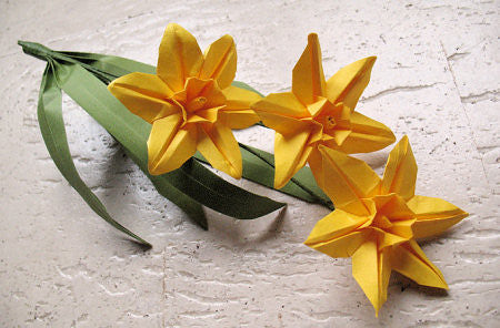 Origami Flowers: Popular Blossoms and Creative Bouquets by Hiromi Hayashi
