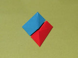 The New Origami by Steve & Megumi Biddle