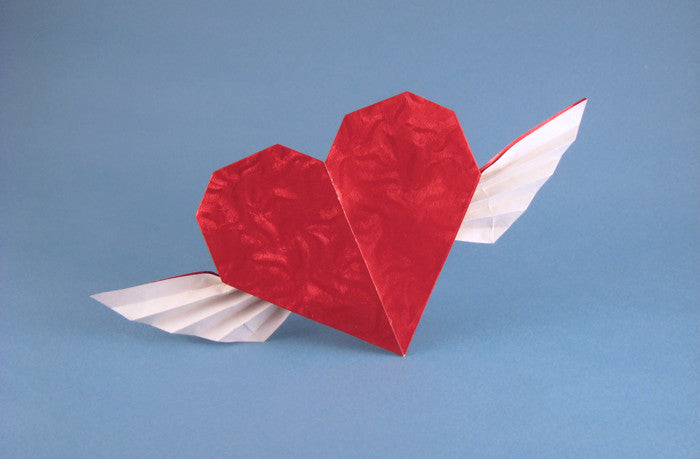 The New Origami by Steve & Megumi Biddle