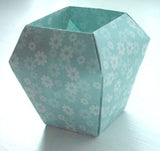 The New Origami by Steve & Megumi Biddle