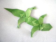 The New Origami by Steve & Megumi Biddle