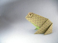 Origami: 30 Fold-by-Fold Projects by Paulo Mulatinho