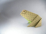 Origami: 30 Fold-by-Fold Projects by Paulo Mulatinho