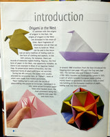 Origami: Paper Projects to Delight and Amaze by David Petty