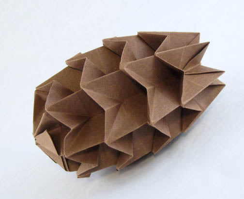 Origami: Paper Projects to Delight and Amaze by David Petty