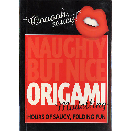 Origami Modelling (ooooh saucy!)