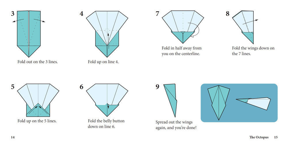 Simple Origami Airplanes (book/DVD)