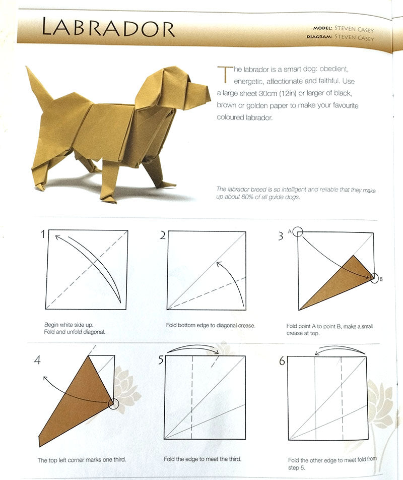 Ultimate Origami – Animals