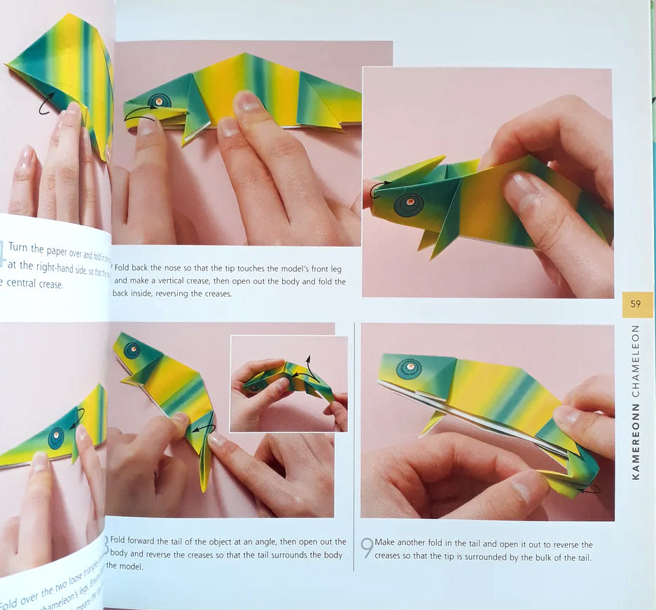 Wild and Wonderful Origami